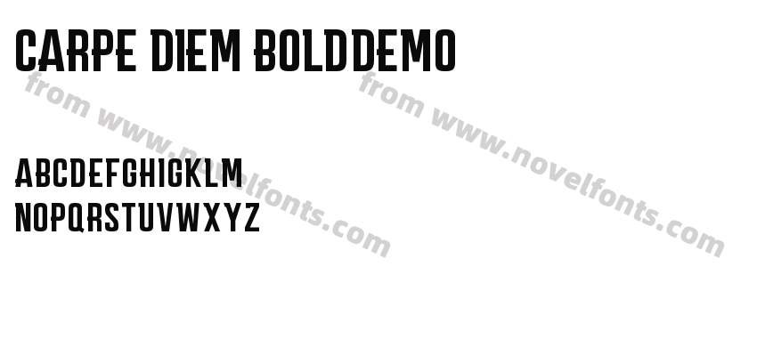 CARPE DIEM BOLD_DEMOPreview