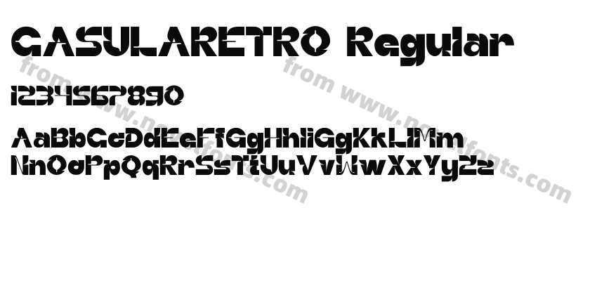CASULARETRO RegularPreview