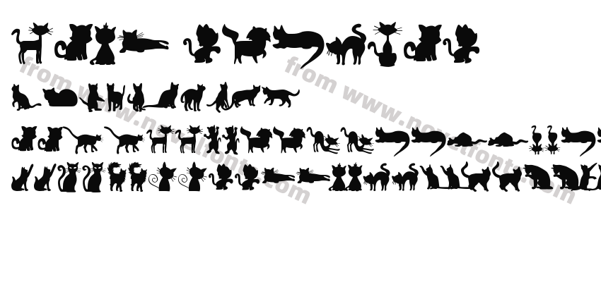 CATS RegularPreview
