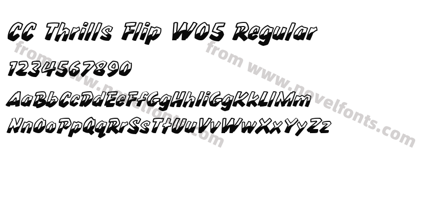 CC Thrills Flip W05 RegularPreview