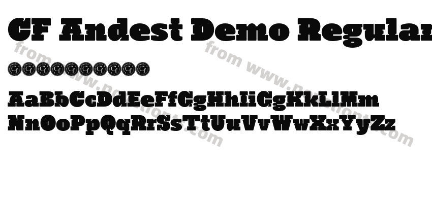 CF Andest Demo RegularPreview