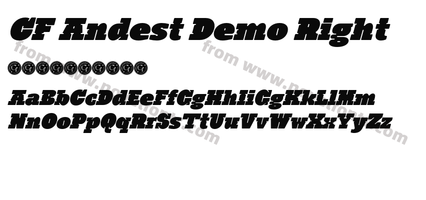 CF Andest Demo RightPreview