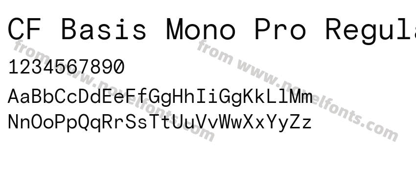 CF Basis Mono Pro RegularPreview