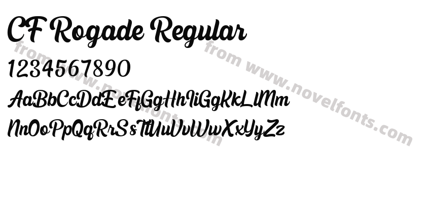 CF Rogade RegularPreview