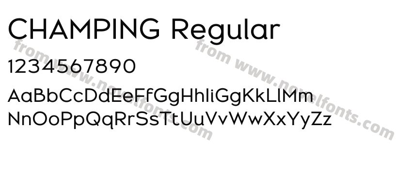 CHAMPING RegularPreview