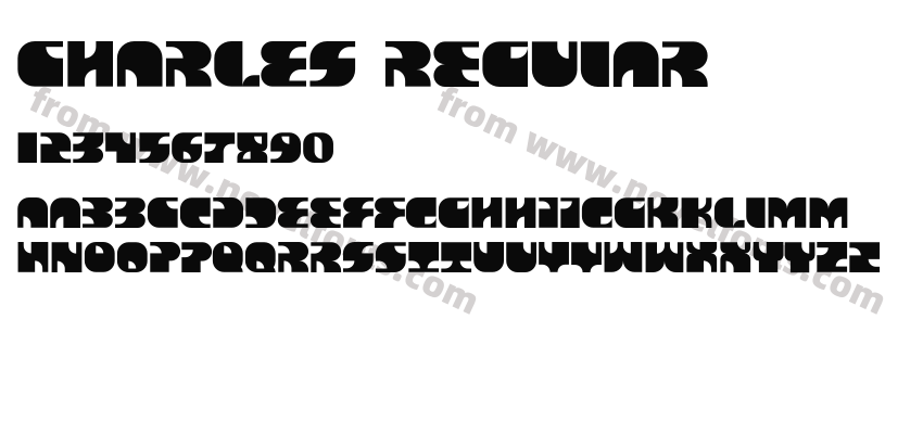 CHARLES RegularPreview