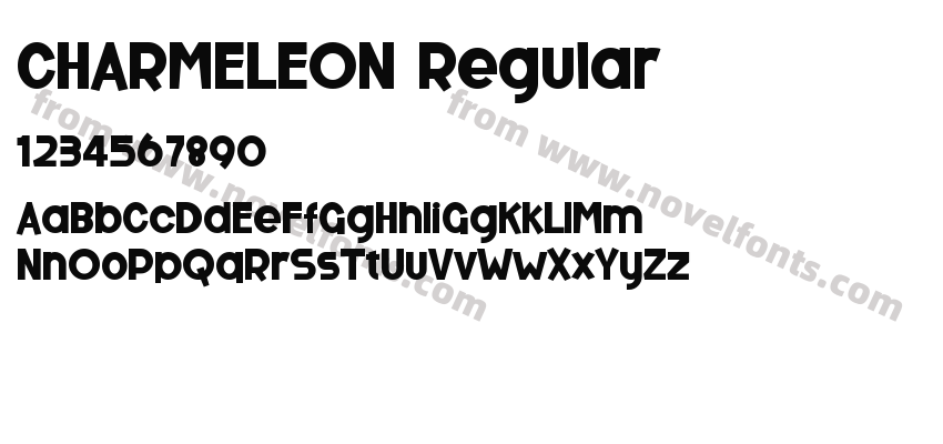 CHARMELEON RegularPreview