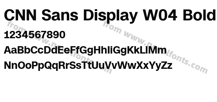 CNN Sans Display W04 BoldPreview