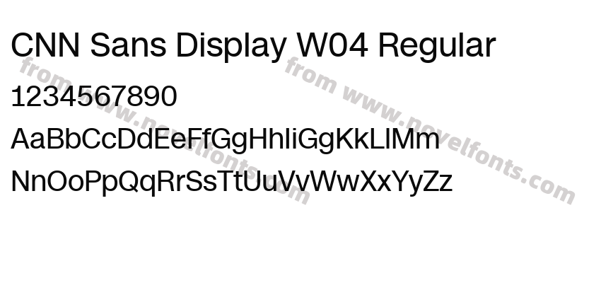 CNN Sans Display W04 RegularPreview