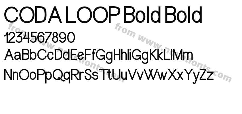 CODA LOOP BoldPreview