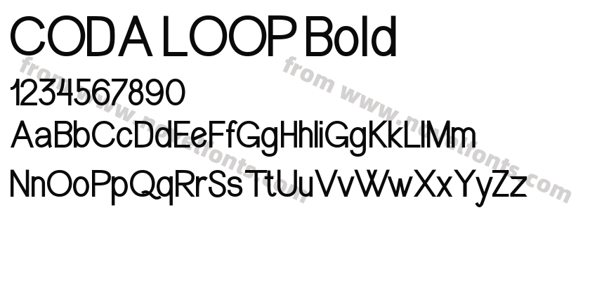 CODA LOOP BoldPreview