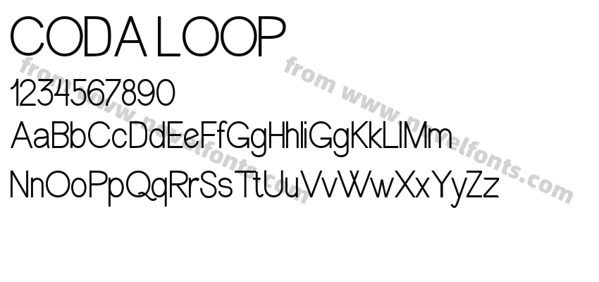 CODA LOOPPreview