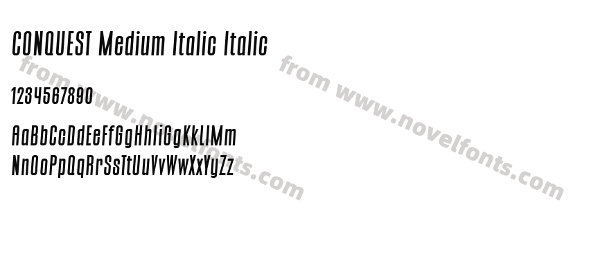 CONQUEST Medium Italic ItalicPreview