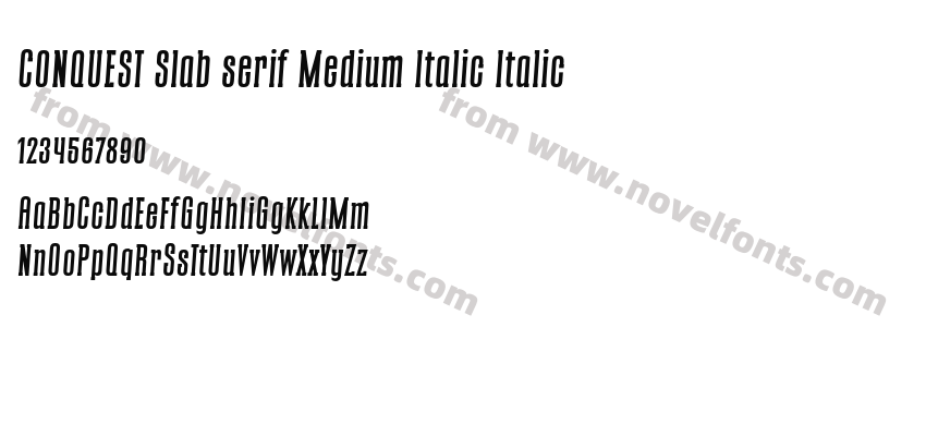 CONQUEST Slab serif Medium Italic ItalicPreview