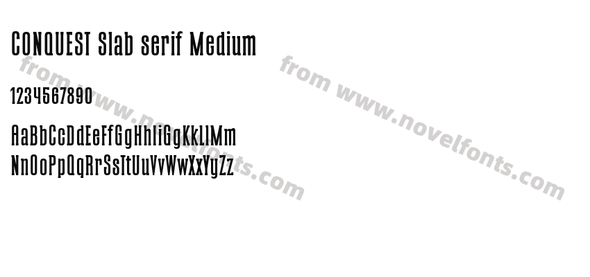 CONQUEST Slab serif MediumPreview
