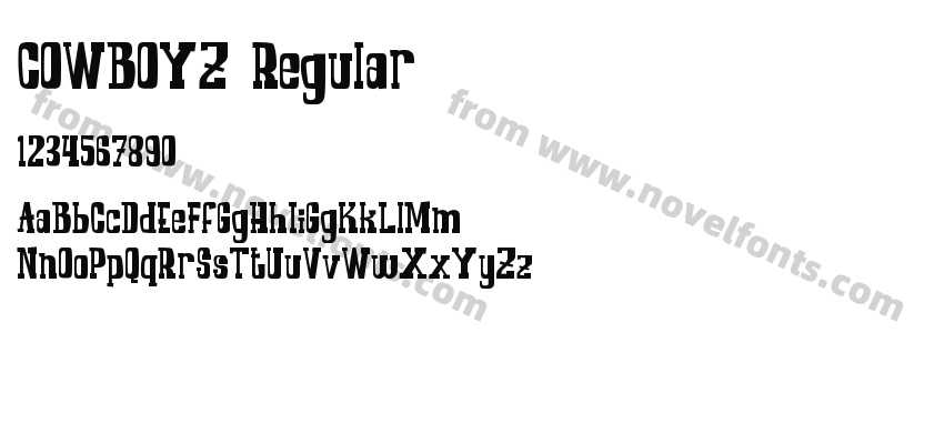 COWBOYZ RegularPreview
