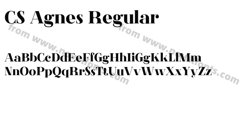 CS Agnes RegularPreview