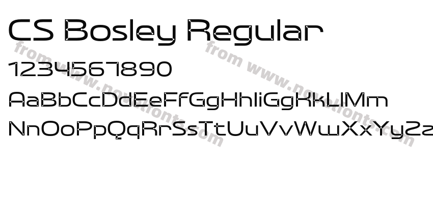 CS Bosley RegularPreview