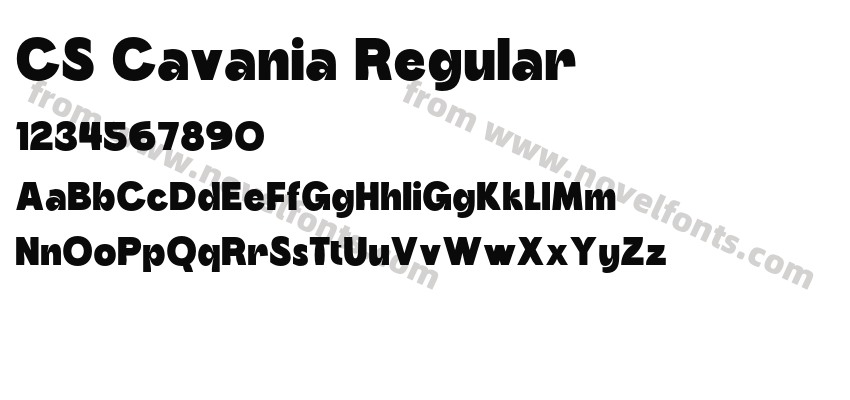 CS Cavania RegularPreview