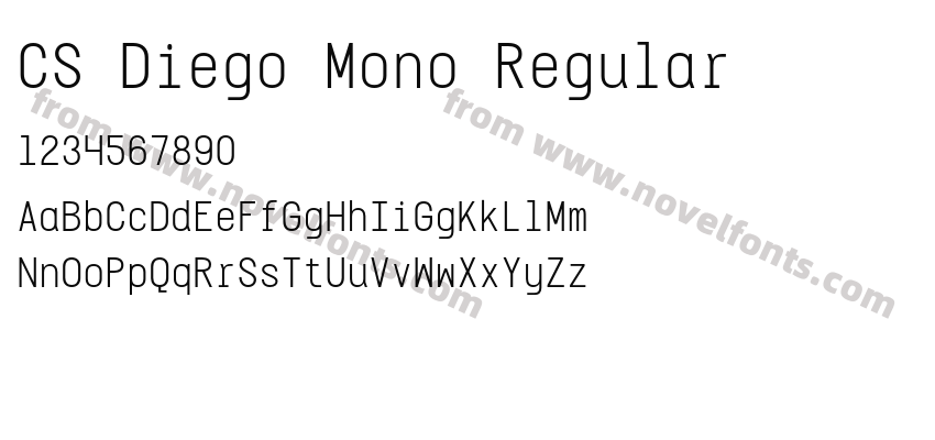 CS Diego Mono RegularPreview