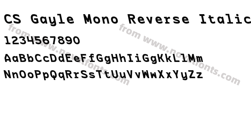CS Gayle Mono Reverse ItalicPreview