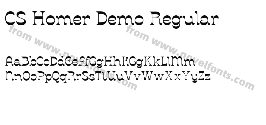 CS Homer Demo RegularPreview