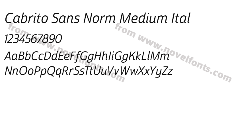 Cabrito Sans Norm Medium ItalPreview
