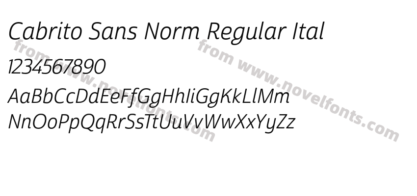 Cabrito Sans Norm Regular ItalPreview