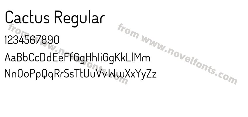 Cactus RegularPreview