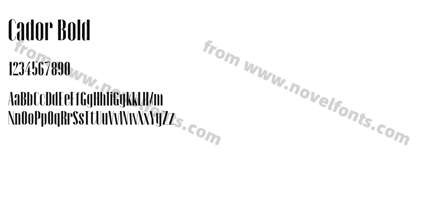 Cador BoldPreview