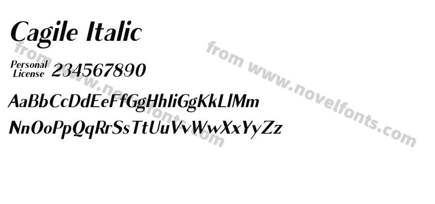 Cagile ItalicPreview