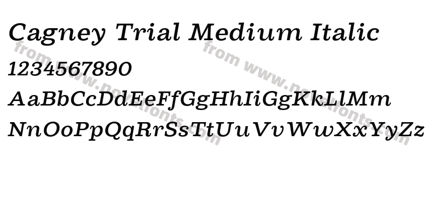 Cagney Trial Medium ItalicPreview