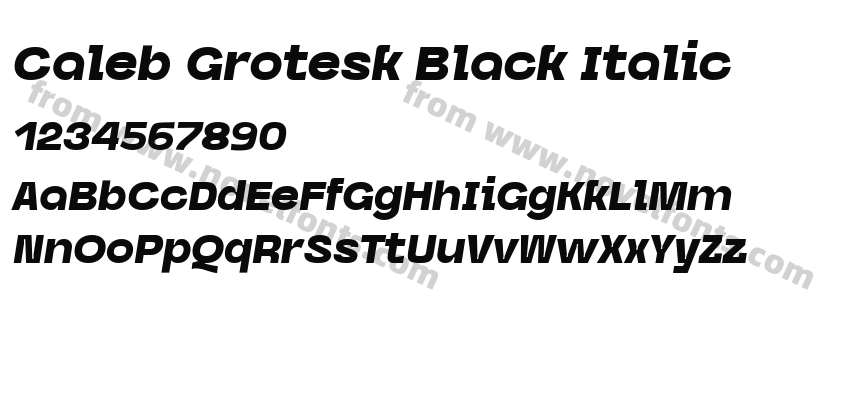Caleb Grotesk Black ItalicPreview