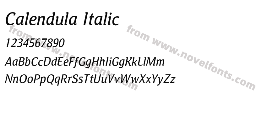 Calendula ItalicPreview