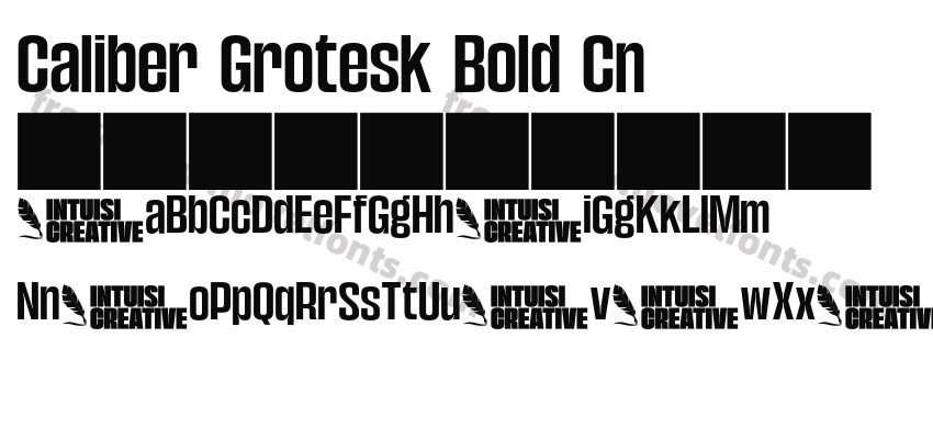 Caliber Grotesk Bold CnPreview