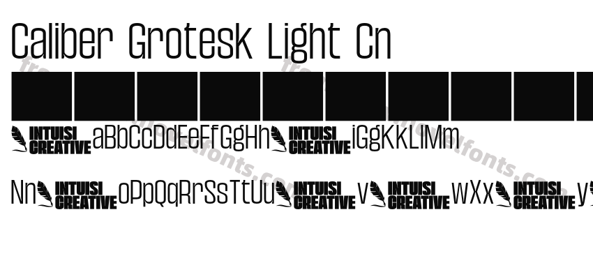 Caliber Grotesk Light CnPreview