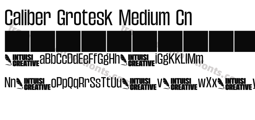 Caliber Grotesk Medium CnPreview