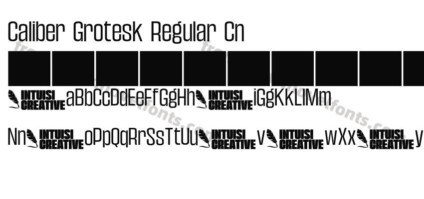 Caliber Grotesk Regular CnPreview