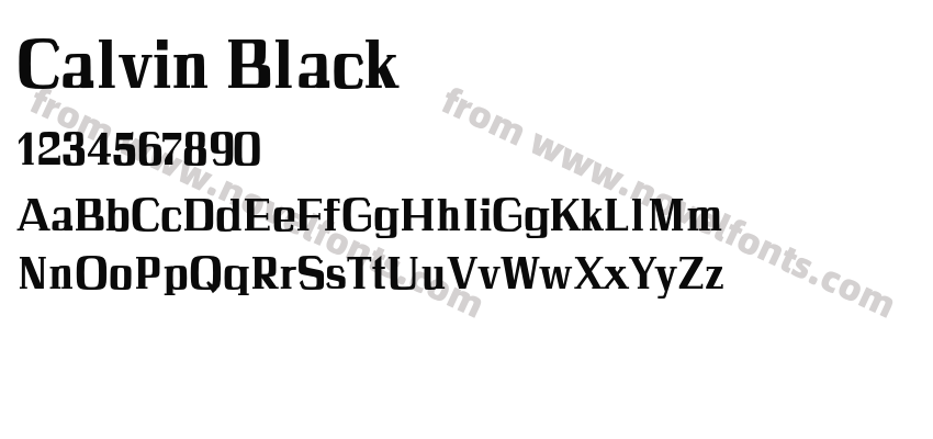 Calvin BlackPreview