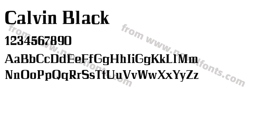 Calvin BlackPreview