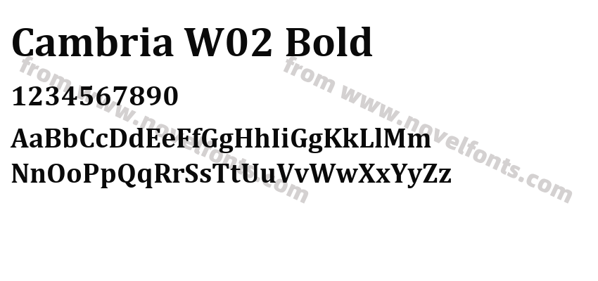 Cambria W02 BoldPreview