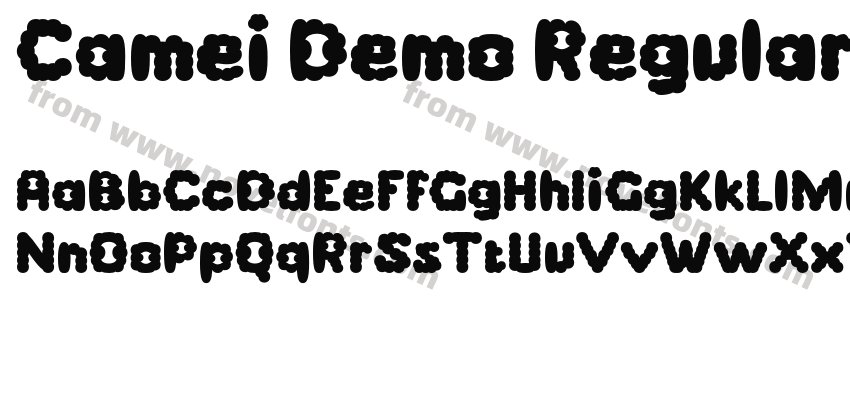 Camei Demo RegularPreview