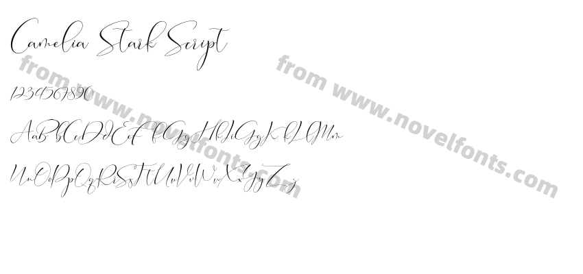 Camelia Stark ScriptPreview