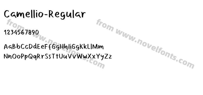 Camellio-RegularPreview