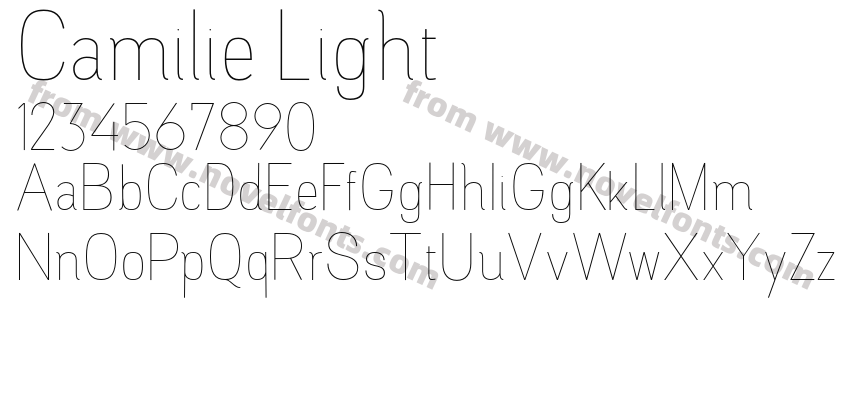 Camilie LightPreview
