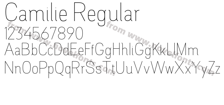 Camilie RegularPreview