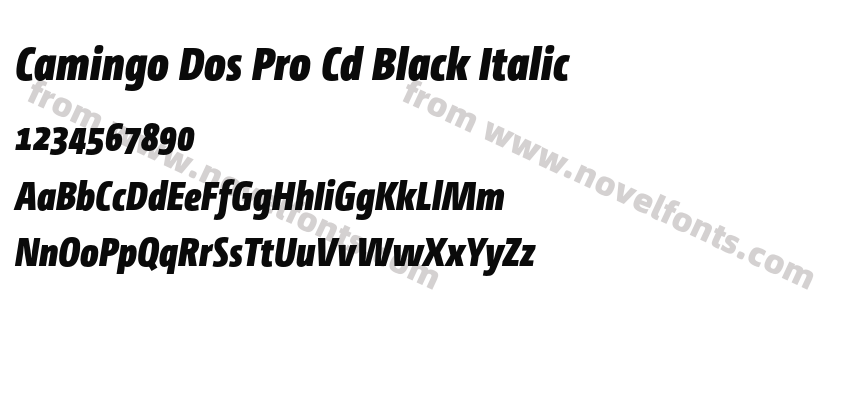 Camingo Dos Pro Cd Black ItalicPreview