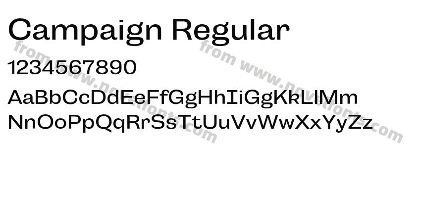 Campaign RegularPreview