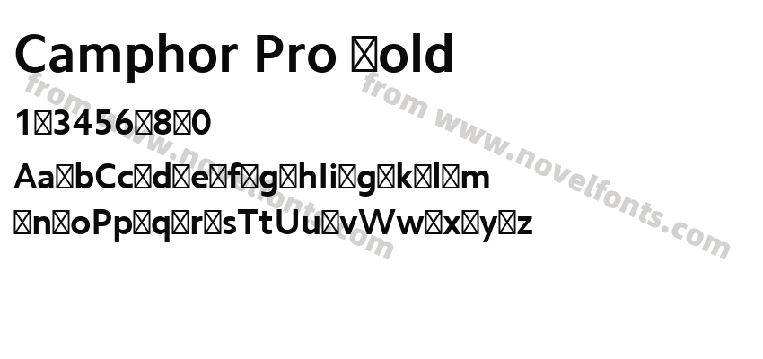 Camphor Pro BoldPreview