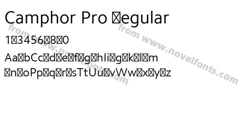 Camphor Pro RegularPreview